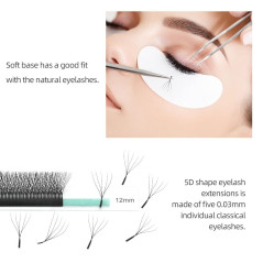5D W Nagaraku Pre-Made eyelash extensions