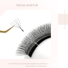 5D W Nagaraku Pre-Made eyelash extensions