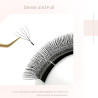 5D W Nagaraku Pre-Made eyelash extensions