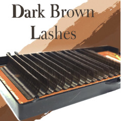Curl C 0.05 - Dark Brown EyeLashes Butterfly