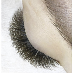 Curl C - dark Brown EyeLashes Butterfly