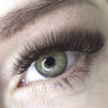 Curl C - dark Brown EyeLashes Butterfly