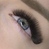 Curl C - dark Brown EyeLashes Butterfly