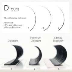 0.12 D Glossy Queen - One By One, Silk