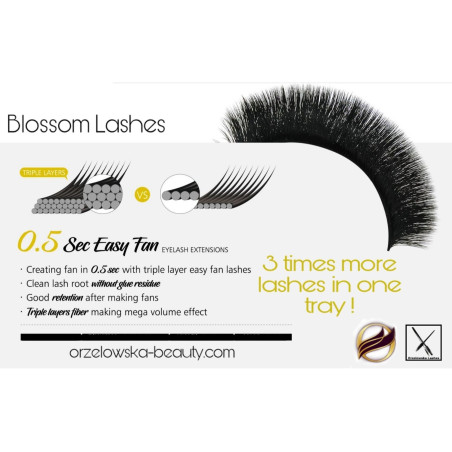 0.10 D Easy Fan Flower - Premium Blossom