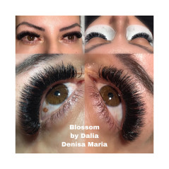 0.10 D easy fan flower -Blossom eyelash extensions