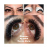 0.10 D easy fan flower -Blossom eyelash extensions