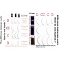 0.12 C -  Eyelash Extension 1:1 Yassine Premium