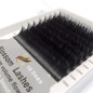 0.10 CC Easy Fan Flower - Premium Blossom