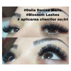 0.12 CC easy fan flower -Blossom eyelash extensions