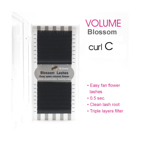 0.12 C Easy Fan Flower - Premium Blossom