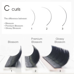 0.07 C Glossy Blossom, Easy Fan