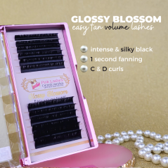 0.07 C Glossy Blossom, Easy Fan