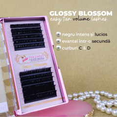 0.07 C Glossy Blossom, Easy Fan