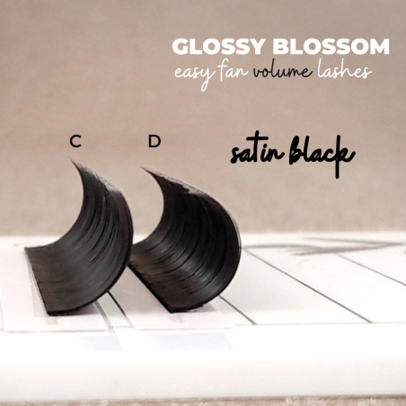 0.07 C Glossy Blossom, Easy Fan