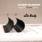 0.07 C Glossy Blossom, Easy Fan