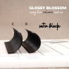 0.07 C Glossy Blossom, Easy Fan
