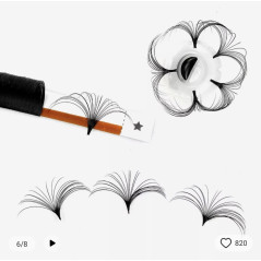 0.07 C Glossy Blossom, Easy Fan