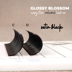 0.07 D Glossy Blossom, Easy Fan