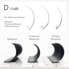 0.07 D Glossy Blossom, Easy Fan