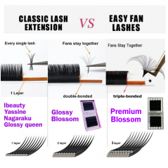 0.07 C Glossy Blossom, Easy Fan
